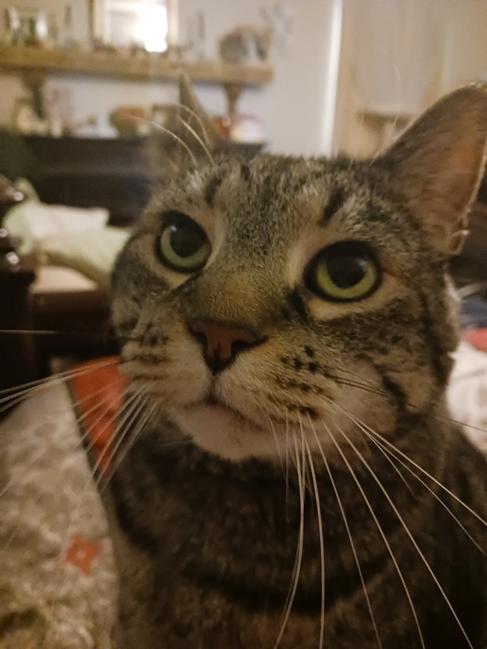 - � ��, �����, �� �� ������� ��������, �������?