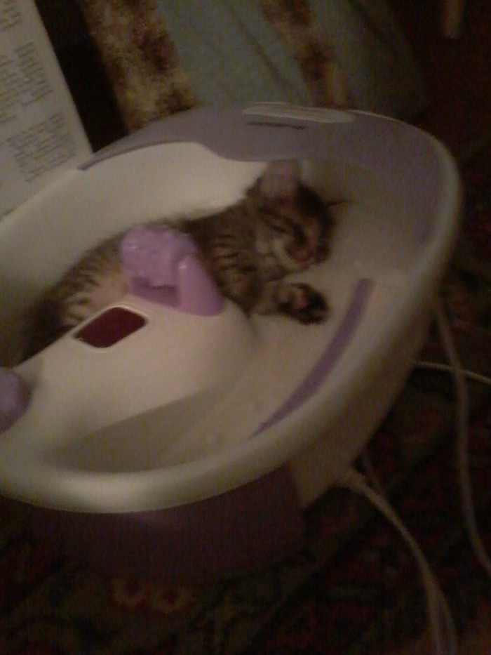 ���� �������?