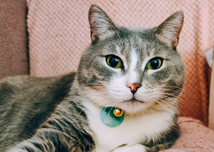 ����, 13.8 ����