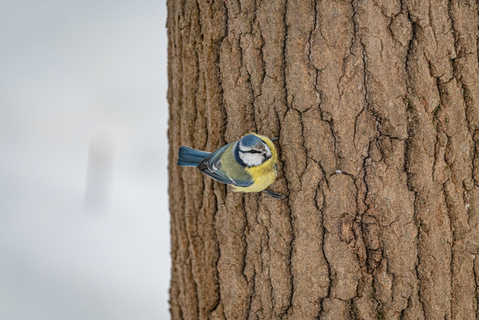 ��������� �� ������