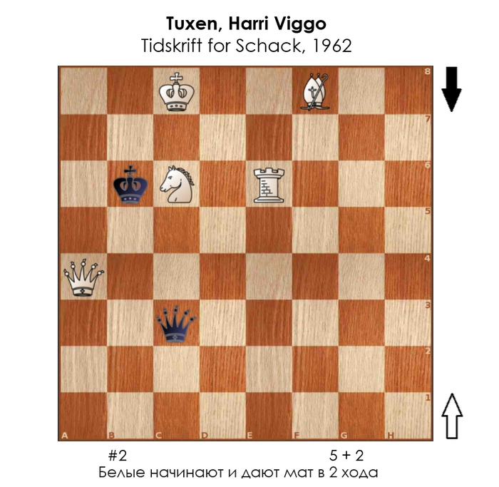 ������������� #391