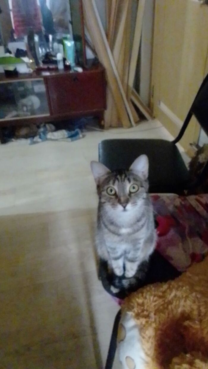 �� ��� �� �����,��� ��� ������. �������� ���� ����� ������� 