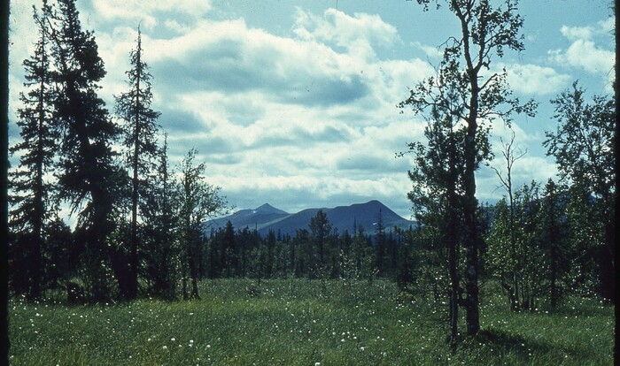 � ��� - ����-���� (�����-������), ��� ��� �� ��� ������ ������.