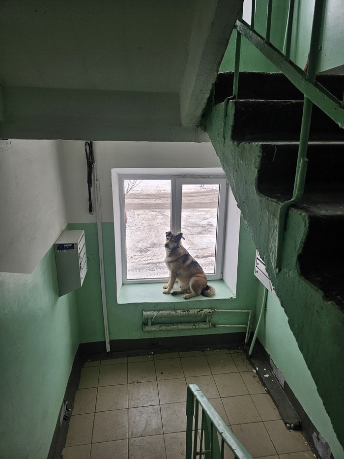 Просто квашино