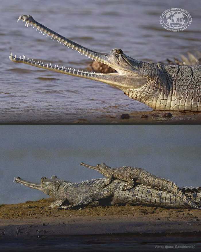 ��������� �� �������� ����