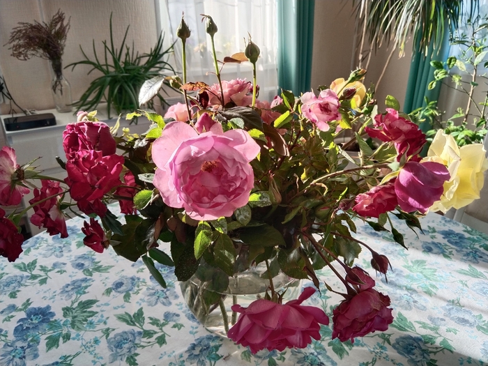 ������ ���� �� �����