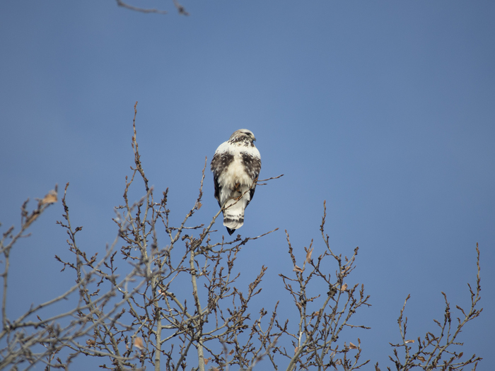 ����������� ������...