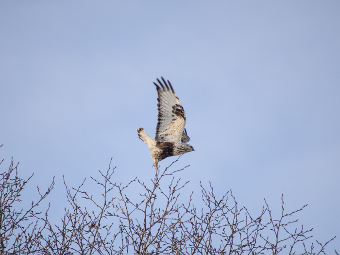 ����� 📸