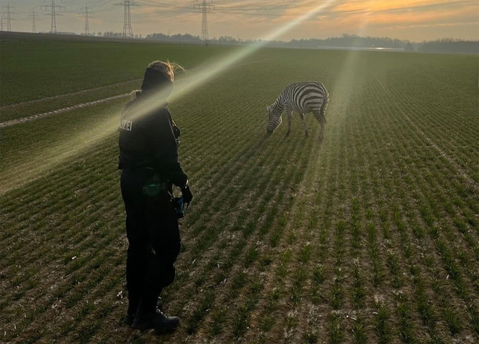 ������� ���������� ������ �� ����������. ������ ���������!