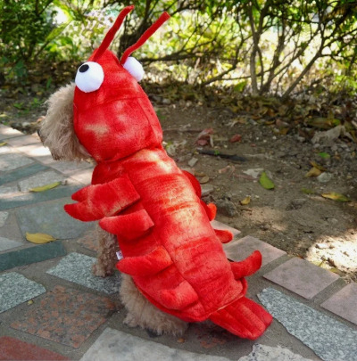 ������ ����� ��������, � ���� ��������� ������ ������