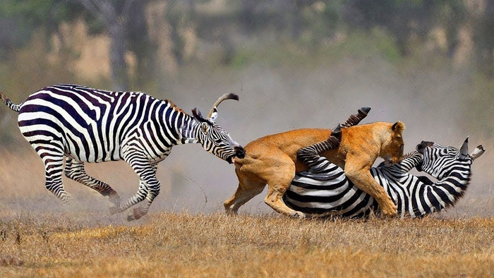 ����� ��������� ������� ����� �� ��� ������.