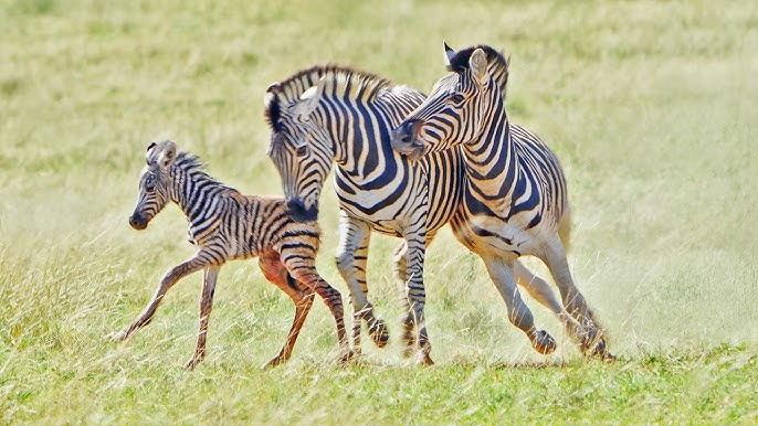 ���� �� � ���� �������, � �� ���� �� ������!