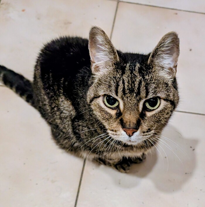 ������ �������� ���� � ������� ������� (� ��������!)