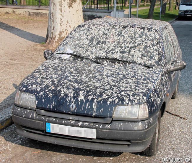 Фото из интернета