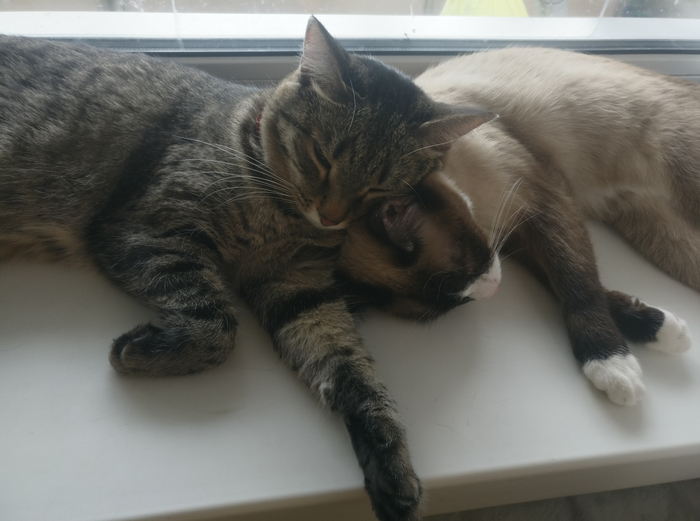 ������� � ����