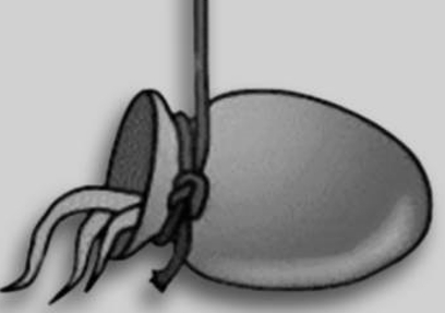 �������� ������� ��� ���������� - Tako-tsubo