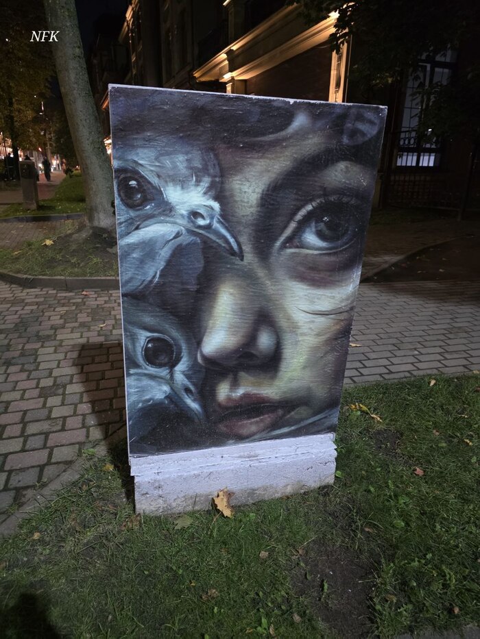 �����������