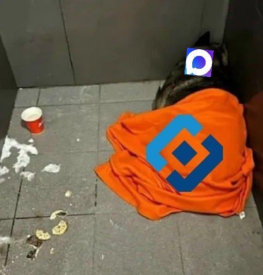 Забота