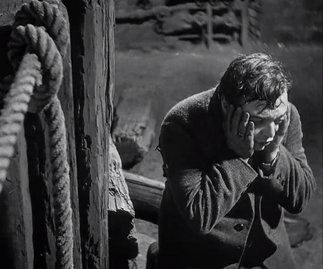 ������ � ��������. ������ ������ ���� "�����"