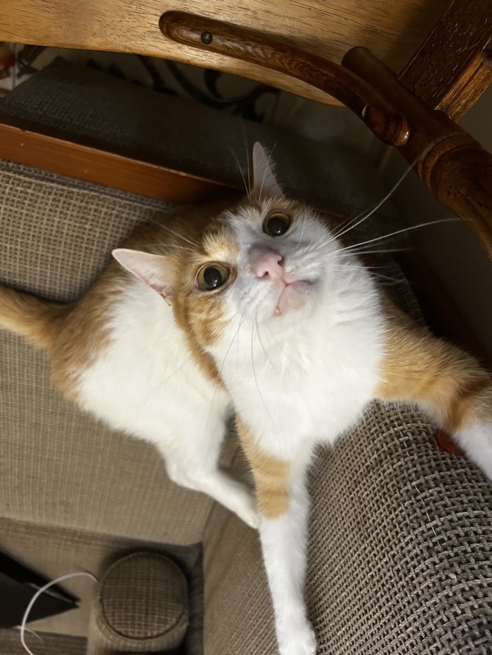 ����� ������������ � ��������� 