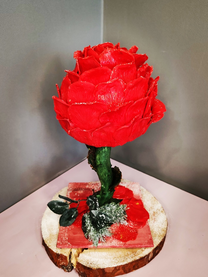 � ������ ���� �����!    "����" #�����������