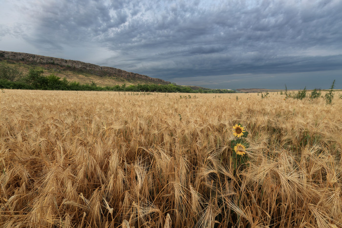 Утро у Зайцевских скал
