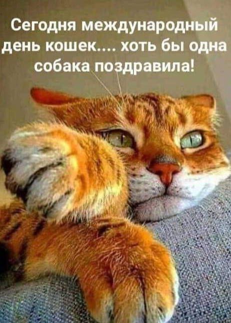 � ���� ����� !