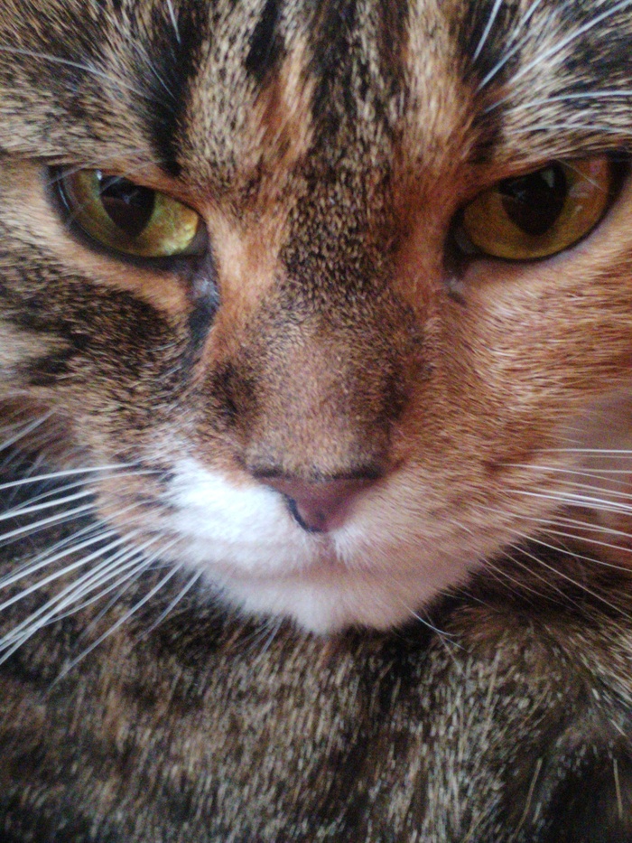 ����� �� ���� ���� ������������