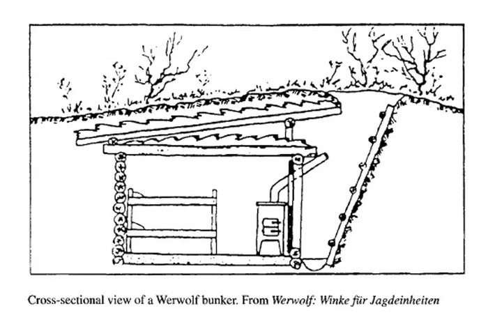 ������ ����������