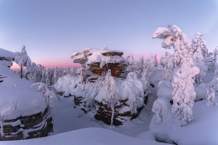 ���������� ���������