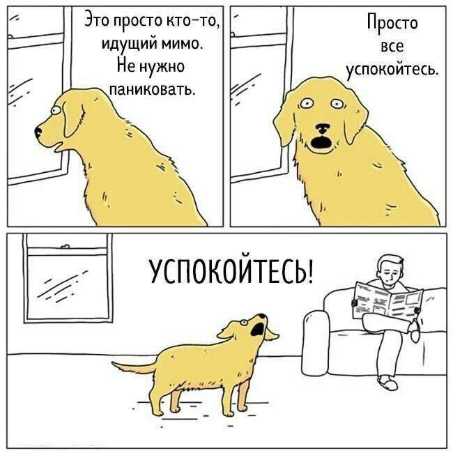 �� ����� ����������