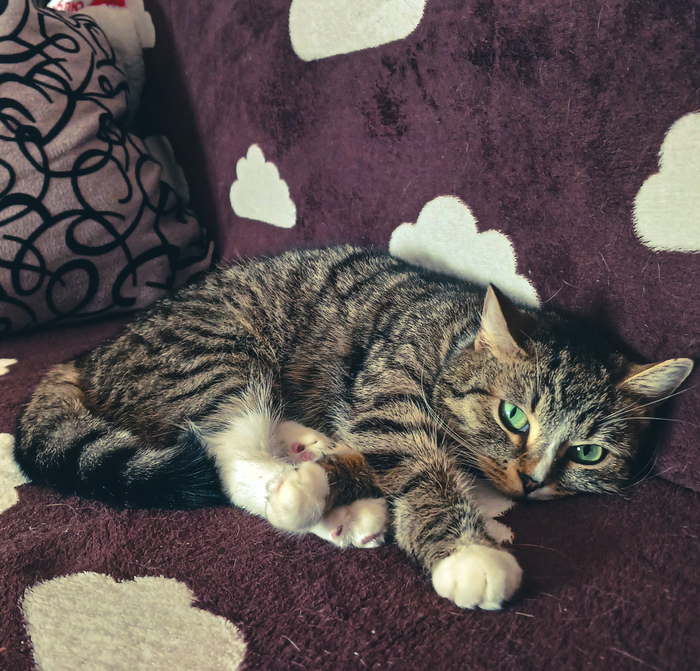 � ���� ������!!!!