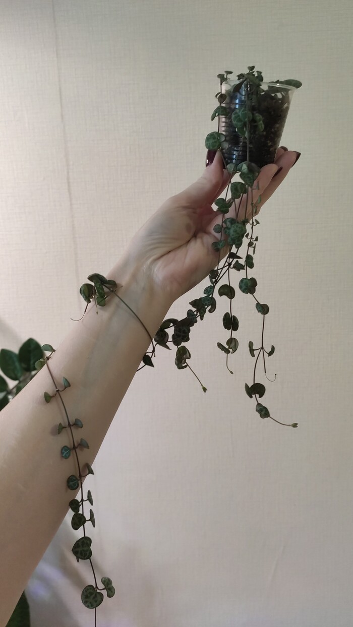 �� � ��� ��������� �� �������� : )