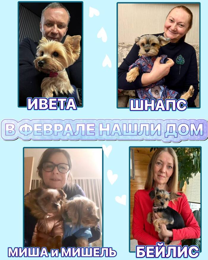 ������� ������ �����