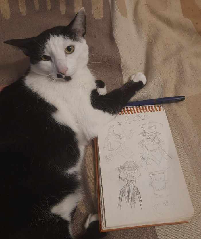 ���������: ��� �����, ������, ��������, ������� 210�148 (��� - ���������� ���������)