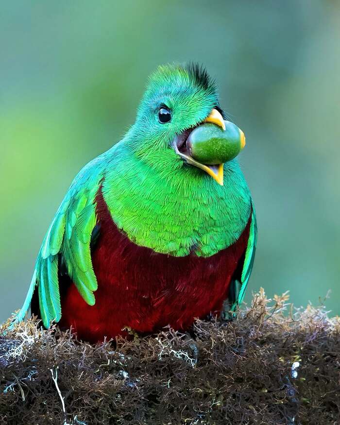 ������������� �������