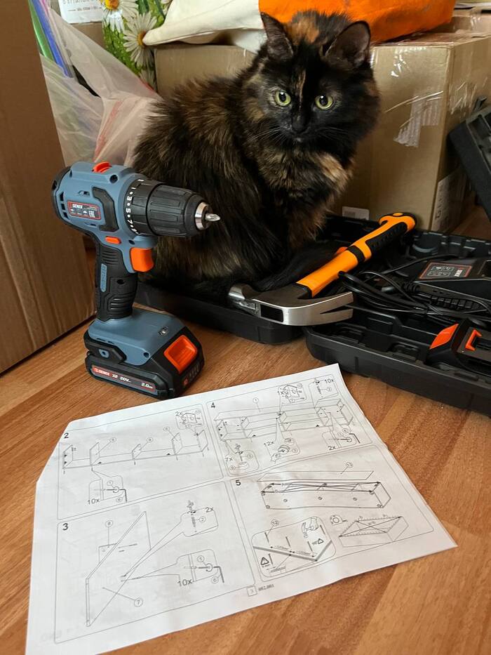 ������� �������� ������