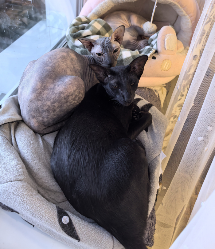 ��������� � �����