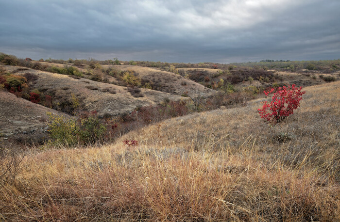 ������������ ���������