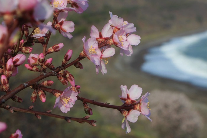 ����� ��������� ����������� ������. ���� �. ���������.