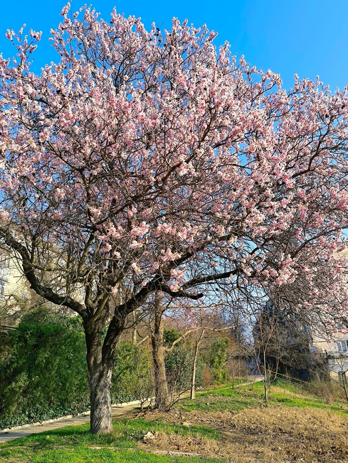 ���������� ������. ���� �. ��������.