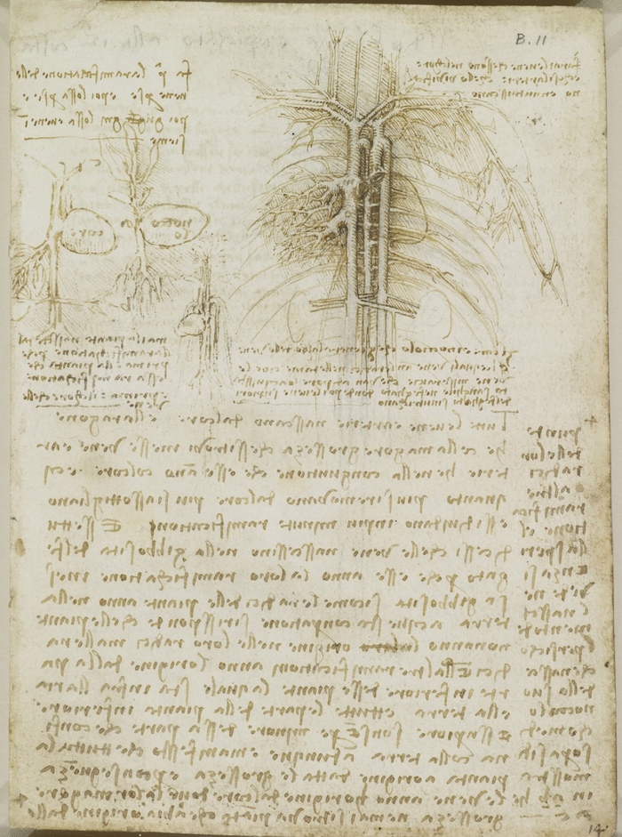 ��� ����� ������� ��������, � ������� ������ ���� ������� ��� �� �������� ��������� ������� � �������.