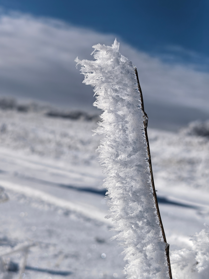 ���� ����. ��� ���, �� ������ ����