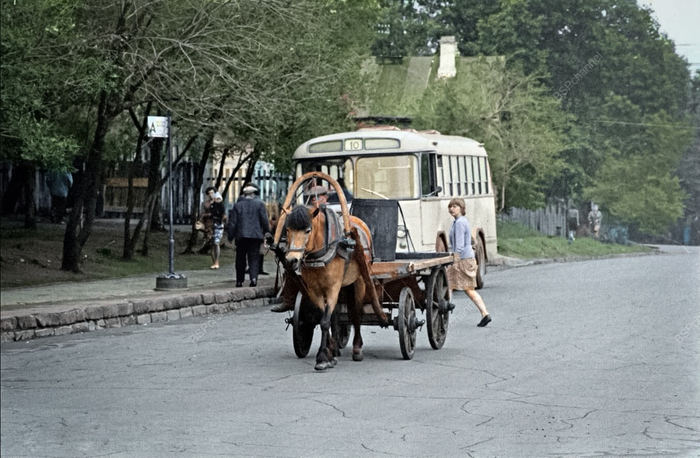 �����: ������� ������