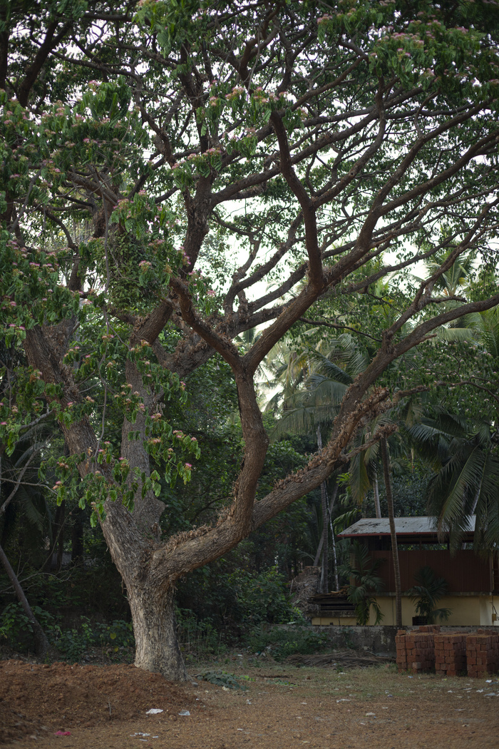 � ���-�� ������������, ��� �������� �������� ����� ������. ������, ���� �� ������� �����, ���, �������� 30-32 ����. �� � ���� ��� ������ �� ����� ��������.