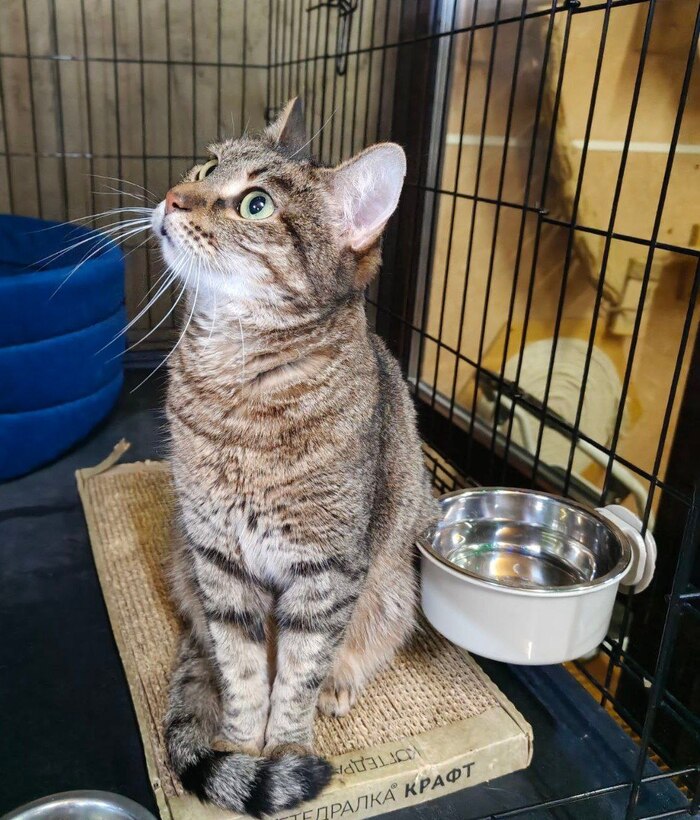 ���������� �� �����