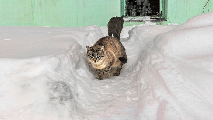 ���� � �������