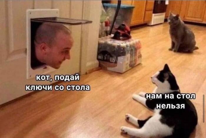 ��