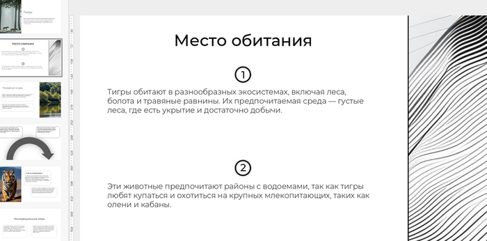 Результат генерации