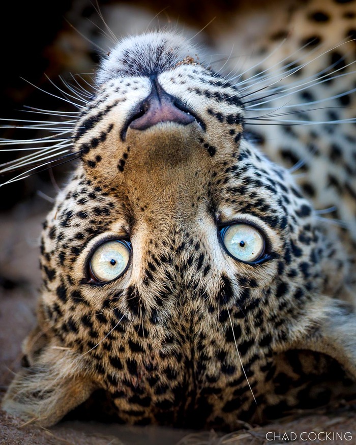 ������ � ������� �������